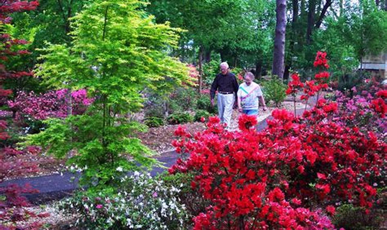 Explore: Ruby M Mize Azalea Garden Guide & Tips The Ultimate Gardening Guide: Grow a Thriving Garden Year-Round Explore: Ruby M Mize Azalea Garden Guide & Tips | The Ultimate Gardening Guide: Grow a Thriving Garden Year-Round