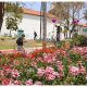 Discover The Garden SDSU: Grow Your Mind & Body | The Ultimate Gardening Guide: Grow a Thriving Garden Year-Round