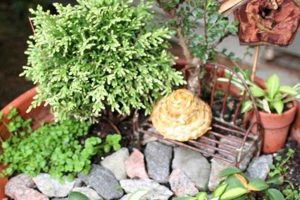 Best Garden Dish Ideas: Grow & Decorate! The Ultimate Gardening Guide: Grow a Thriving Garden Year-Round Best Garden Dish Ideas: Grow & Decorate! | The Ultimate Gardening Guide: Grow a Thriving Garden Year-Round