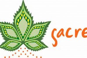 Discover the Sacred Garden Santa Fe: A Tranquil Oasis | The Ultimate Gardening Guide: Grow a Thriving Garden Year-Round