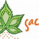 Discover the Sacred Garden Santa Fe: A Tranquil Oasis | The Ultimate Gardening Guide: Grow a Thriving Garden Year-Round