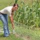 Protect Your Garden: Electric Fence Solutions & Ideas | The Ultimate Gardening Guide: Grow a Thriving Garden Year-Round