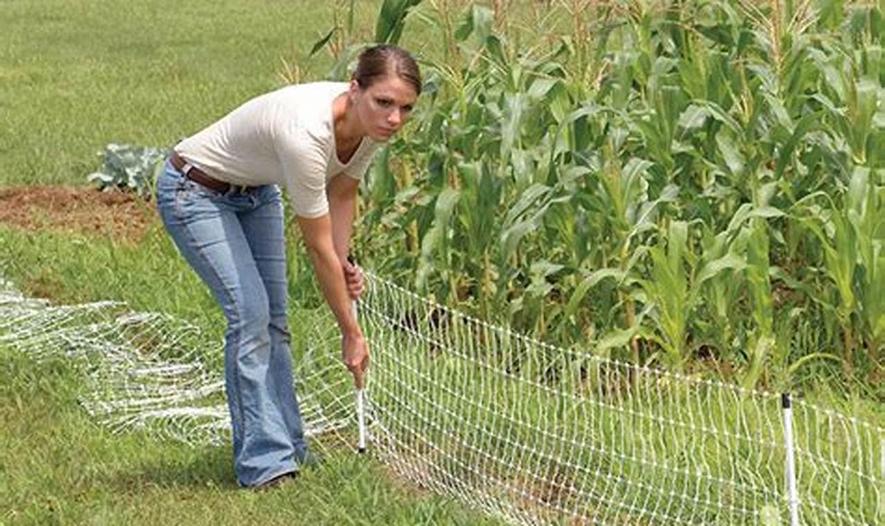 Protect Your Garden: Electric Fence Solutions & Ideas | The Ultimate Gardening Guide: Grow a Thriving Garden Year-Round
