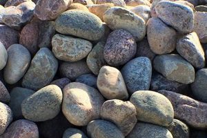 Enhance Your Garden with Large Stones: Design Ideas & More The Ultimate Gardening Guide: Grow a Thriving Garden Year-Round Enhance Your Garden with Large Stones: Design Ideas & More | The Ultimate Gardening Guide: Grow a Thriving Garden Year-Round