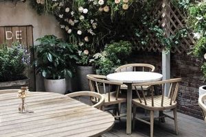Discover: A SoHo Garden NY Oasis - Guide The Ultimate Gardening Guide: Grow a Thriving Garden Year-Round Discover: A SoHo Garden NY Oasis - Guide | The Ultimate Gardening Guide: Grow a Thriving Garden Year-Round