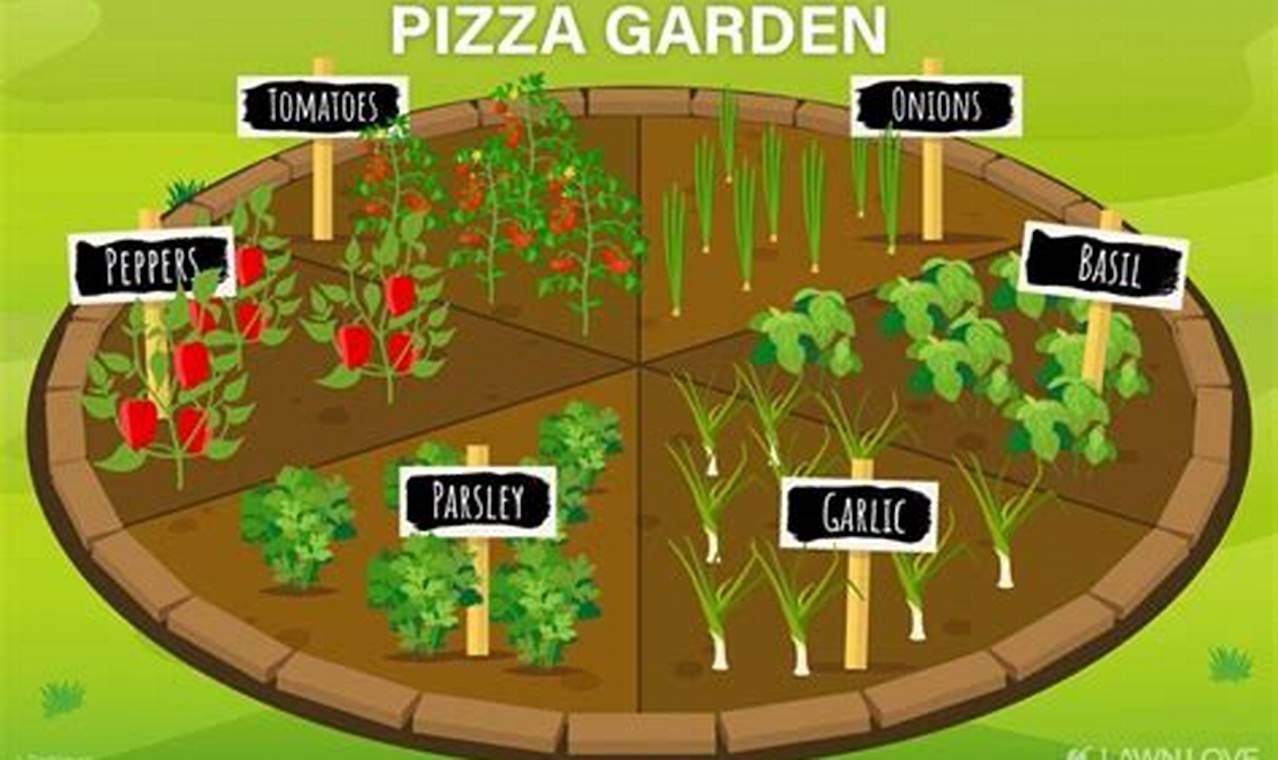 Grow Your Own Garden Pizza: From Seed to Slice! | The Ultimate Gardening Guide: Grow a Thriving Garden Year-Round