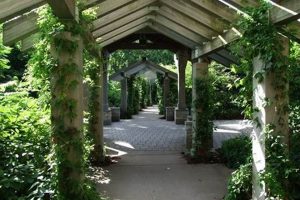 Explore Minnehaha Falls Pergola Garden: A Hidden Gem! | The Ultimate Gardening Guide: Grow a Thriving Garden Year-Round