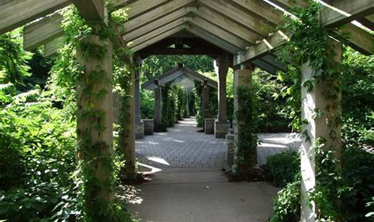 Explore Minnehaha Falls Pergola Garden: A Hidden Gem! | The Ultimate Gardening Guide: Grow a Thriving Garden Year-Round