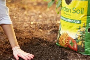 Find Garden Soil Near Me: Local Topsoil &amp; Mixes | The Ultimate Gardening Guide: Grow a Thriving Garden Year-Round