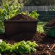Top Compost for a Vegetable Garden: Grow Like a Pro! | The Ultimate Gardening Guide: Grow a Thriving Garden Year-Round