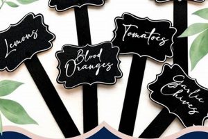 Best Garden Label Stakes: Markers & More! The Ultimate Gardening Guide: Grow a Thriving Garden Year-Round Best Garden Label Stakes: Markers & More! | The Ultimate Gardening Guide: Grow a Thriving Garden Year-Round