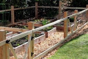 Grow Safe! DIY Vegetable Garden Fence Ideas & Solutions | The Ultimate Gardening Guide: Grow a Thriving Garden Year-Round