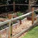 Grow Safe! DIY Vegetable Garden Fence Ideas & Solutions | The Ultimate Gardening Guide: Grow a Thriving Garden Year-Round