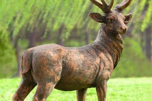 Deer Garden Statuary: Elegant Yard Decor | The Ultimate Gardening Guide: Grow a Thriving Garden Year-Round