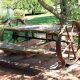 Garden Cart Wheel Guide: Best Options & Uses | The Ultimate Gardening Guide: Grow a Thriving Garden Year-Round