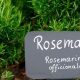 Latin Garden: Hortus - Explore "Garden in Latin" Roots | The Ultimate Gardening Guide: Grow a Thriving Garden Year-Round