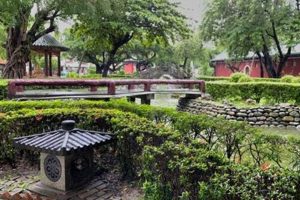 Create Jin's Garden: Your Backyard Oasis Tips | The Ultimate Gardening Guide: Grow a Thriving Garden Year-Round