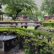 Create Jin's Garden: Your Backyard Oasis Tips | The Ultimate Gardening Guide: Grow a Thriving Garden Year-Round