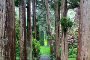 Your Sakonnet Garden Oasis: Design & Beauty | The Ultimate Gardening Guide: Grow a Thriving Garden Year-Round