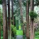Your Sakonnet Garden Oasis: Design & Beauty | The Ultimate Gardening Guide: Grow a Thriving Garden Year-Round