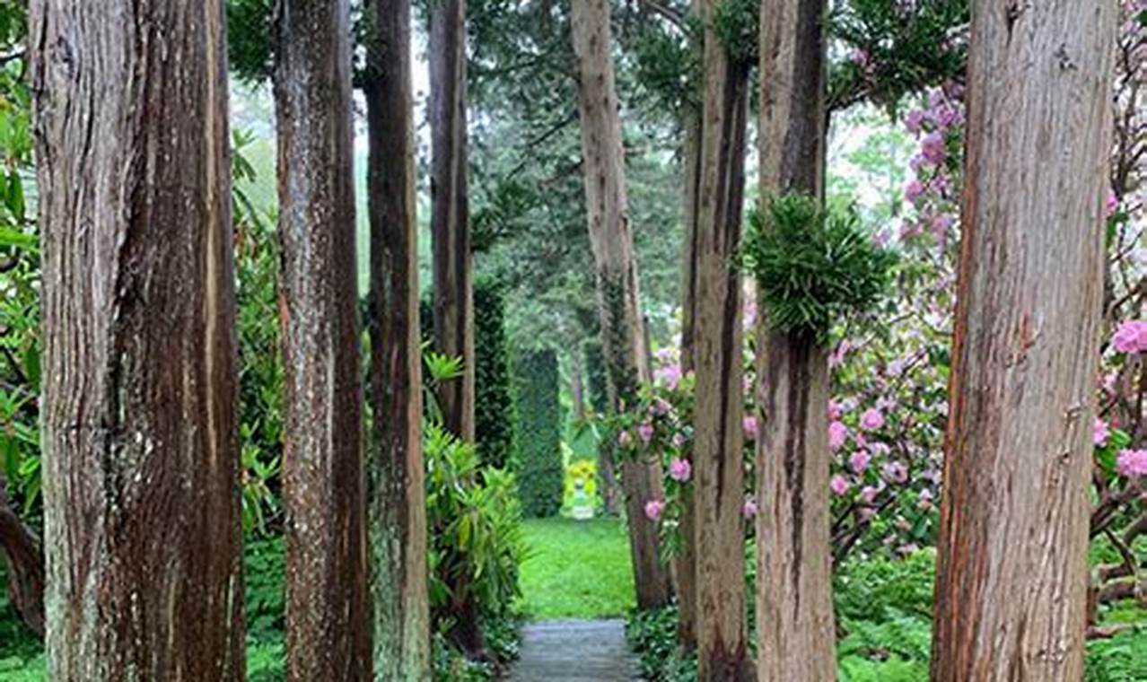 Your Sakonnet Garden Oasis: Design & Beauty | The Ultimate Gardening Guide: Grow a Thriving Garden Year-Round