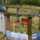 Buy Garden Scale Trains: Sale Prices & Layouts! | The Ultimate Gardening Guide: Grow a Thriving Garden Year-Round