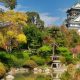Osaka's Nishinomaru Garden: Castle Oasis &amp; More! | The Ultimate Gardening Guide: Grow a Thriving Garden Year-Round