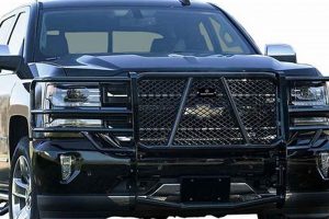 Best Brush Gard Protectors: [Vehicle] [Year] Models | The Ultimate Gardening Guide: Grow a Thriving Garden Year-Round
