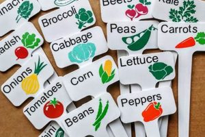 Best Plant Labels for Garden Organize Your Garden Now! The Ultimate Gardening Guide: Grow a Thriving Garden Year-Round Best Plant Labels for Garden Organize Your Garden Now! | The Ultimate Gardening Guide: Grow a Thriving Garden Year-Round