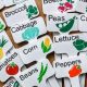 Best Plant Labels for Garden Organize Your Garden Now! | The Ultimate Gardening Guide: Grow a Thriving Garden Year-Round