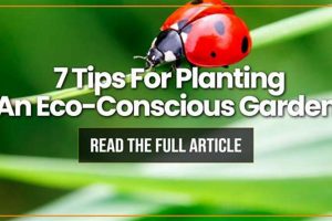 Sustainable Garden: Eco-Conscious Garden Items & More The Ultimate Gardening Guide: Grow a Thriving Garden Year-Round Sustainable Garden: Eco-Conscious Garden Items & More | The Ultimate Gardening Guide: Grow a Thriving Garden Year-Round