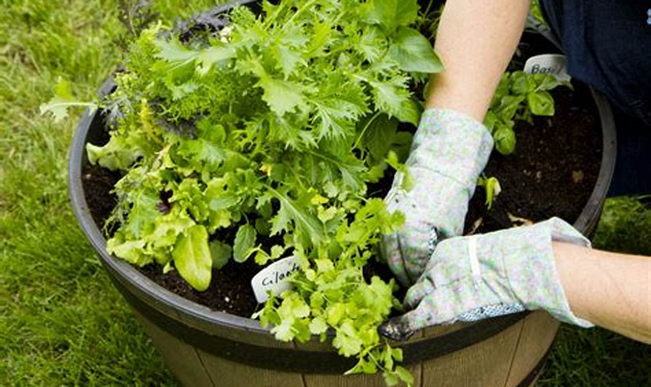 Best Garden Containers for Vegetables: Grow Your Own! | The Ultimate Gardening Guide: Grow a Thriving Garden Year-Round