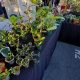 DIY Garden at the Flea: Upcycled Oasis Ideas | The Ultimate Gardening Guide: Grow a Thriving Garden Year-Round