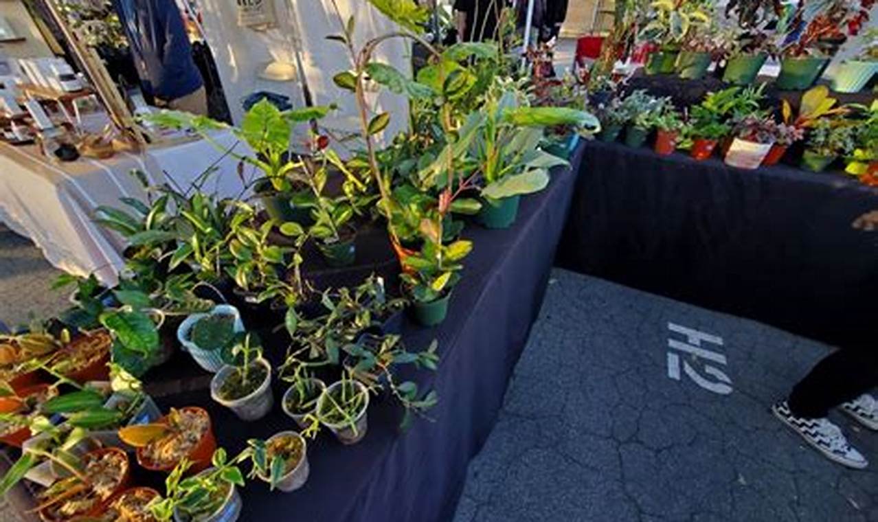 DIY Garden at the Flea: Upcycled Oasis Ideas The Ultimate Gardening Guide: Grow a Thriving Garden Year-Round DIY Garden at the Flea: Upcycled Oasis Ideas | The Ultimate Gardening Guide: Grow a Thriving Garden Year-Round