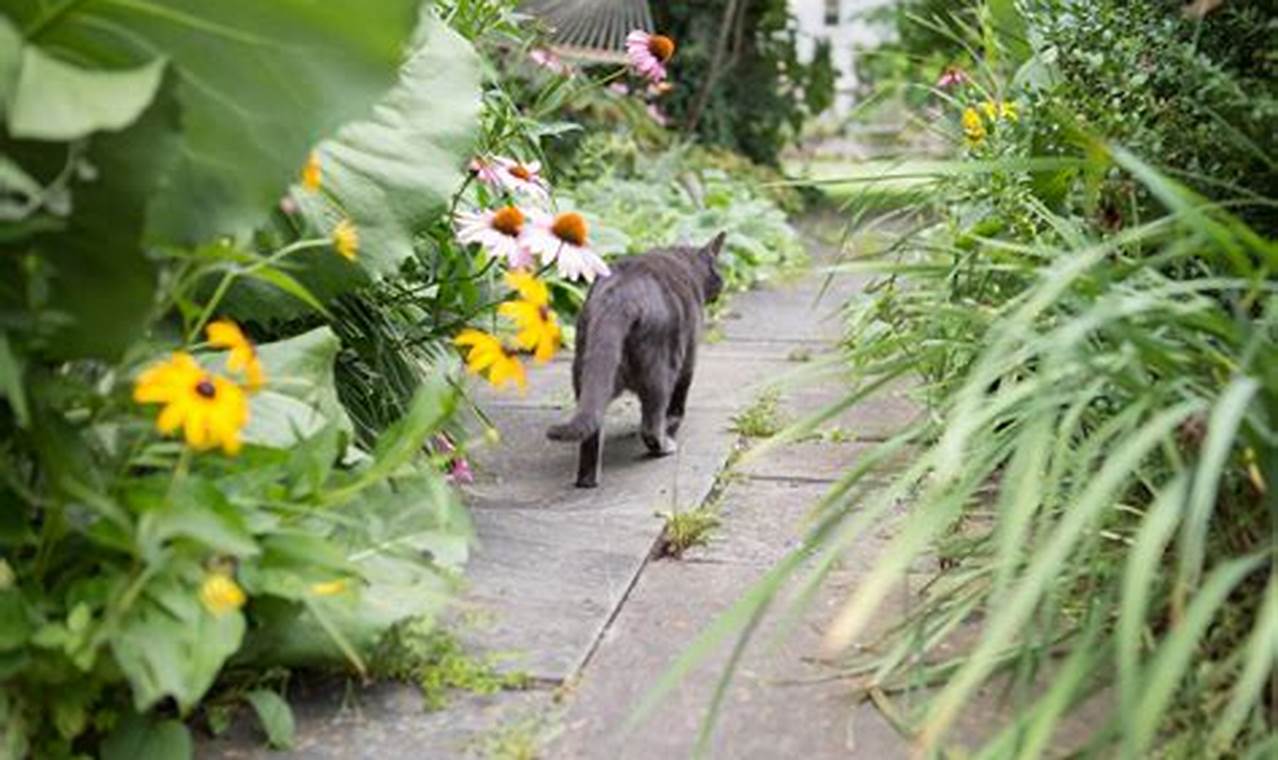 Why Your Garden Needs a Garden Cat: Benefits & Tips The Ultimate Gardening Guide: Grow a Thriving Garden Year-Round Why Your Garden Needs a Garden Cat: Benefits & Tips | The Ultimate Gardening Guide: Grow a Thriving Garden Year-Round
