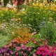 Grow Beautiful Cottage Garden Flowers: A Gardener's Guide | The Ultimate Gardening Guide: Grow a Thriving Garden Year-Round