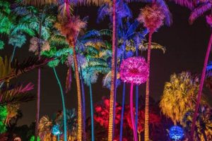 Experience a Magical Night at the Garden in Miami | The Ultimate Gardening Guide: Grow a Thriving Garden Year-Round