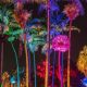 Experience a Magical Night at the Garden in Miami | The Ultimate Gardening Guide: Grow a Thriving Garden Year-Round