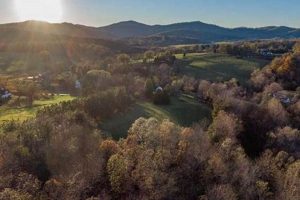Explore Charming North Garden, Virginia: Homes & More The Ultimate Gardening Guide: Grow a Thriving Garden Year-Round Explore Charming North Garden, Virginia: Homes & More | The Ultimate Gardening Guide: Grow a Thriving Garden Year-Round