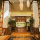 Westbelt Hilton Garden Inn: Your Convenient Stay! | The Ultimate Gardening Guide: Grow a Thriving Garden Year-Round