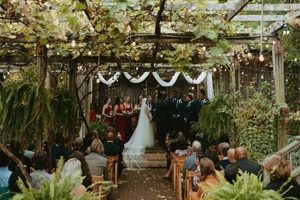 Your Garden Room Fayetteville AR Guide & More The Ultimate Gardening Guide: Grow a Thriving Garden Year-Round Your Garden Room Fayetteville AR Guide & More | The Ultimate Gardening Guide: Grow a Thriving Garden Year-Round