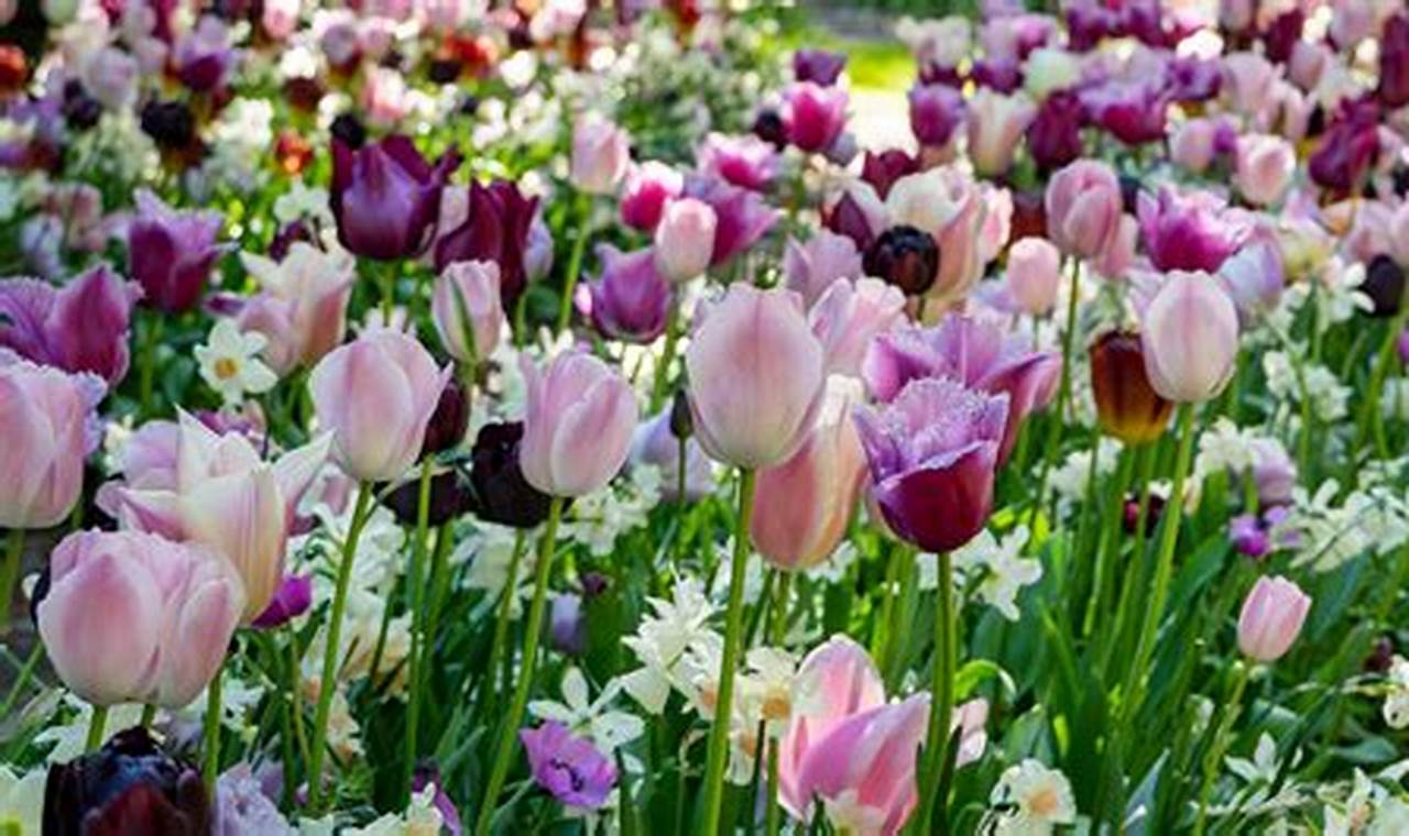 Your Spring & Garden Oasis: Tips & Tricks The Ultimate Gardening Guide: Grow a Thriving Garden Year-Round Your Spring & Garden Oasis: Tips & Tricks | The Ultimate Gardening Guide: Grow a Thriving Garden Year-Round