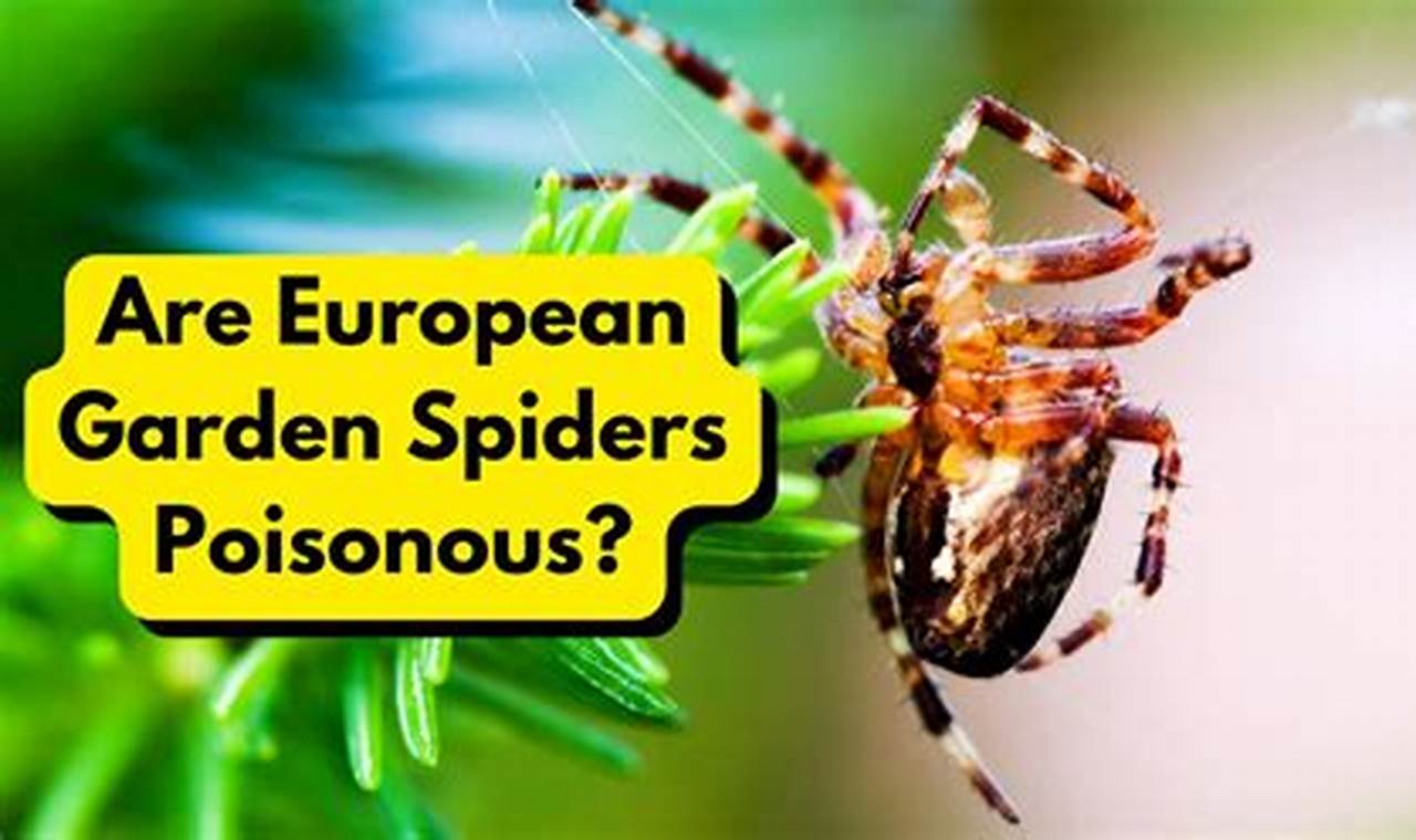 Are Garden Spiders Harmful The Ultimate Gardening Guide: Grow a Thriving Garden Year-Round Are Garden Spiders Harmful | The Ultimate Gardening Guide: Grow a Thriving Garden Year-Round