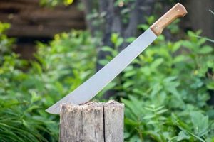 Best Garden Machete Guide: Uses, Safety & Care The Ultimate Gardening Guide: Grow a Thriving Garden Year-Round Best Garden Machete Guide: Uses, Safety & Care | The Ultimate Gardening Guide: Grow a Thriving Garden Year-Round