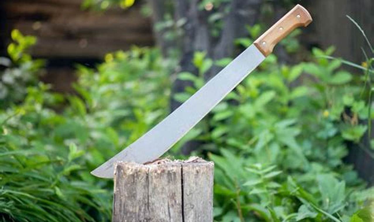 Best Garden Machete Guide: Uses, Safety & Care | The Ultimate Gardening Guide: Grow a Thriving Garden Year-Round