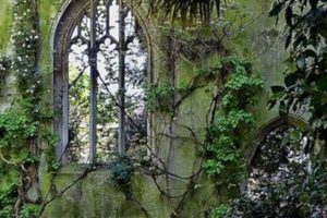 Unleash Your Dark Side: Gothic Garden Decor Ideas The Ultimate Gardening Guide: Grow a Thriving Garden Year-Round Unleash Your Dark Side: Gothic Garden Decor Ideas | The Ultimate Gardening Guide: Grow a Thriving Garden Year-Round