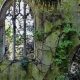 Unleash Your Dark Side: Gothic Garden Decor Ideas | The Ultimate Gardening Guide: Grow a Thriving Garden Year-Round