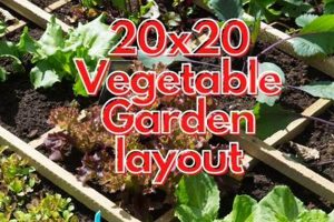 Easy Beginner 20x20 Vegetable Garden Layout: Plans & Tips The Ultimate Gardening Guide: Grow a Thriving Garden Year-Round Easy Beginner 20x20 Vegetable Garden Layout: Plans & Tips | The Ultimate Gardening Guide: Grow a Thriving Garden Year-Round