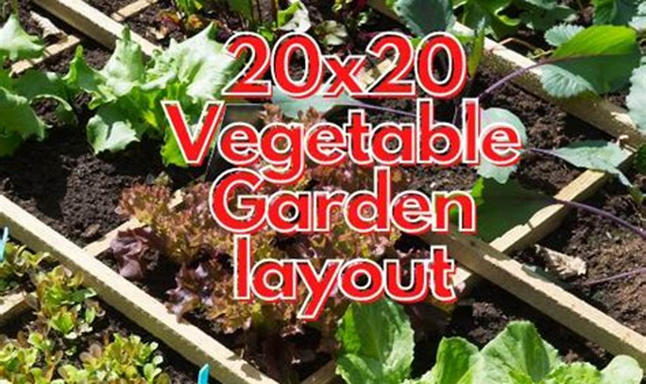 Easy Beginner 20x20 Vegetable Garden Layout: Plans & Tips The Ultimate Gardening Guide: Grow a Thriving Garden Year-Round Easy Beginner 20x20 Vegetable Garden Layout: Plans & Tips | The Ultimate Gardening Guide: Grow a Thriving Garden Year-Round