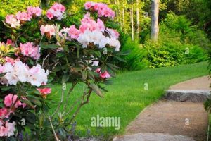 Explore a Stunning Thuja Garden Oasis! | The Ultimate Gardening Guide: Grow a Thriving Garden Year-Round